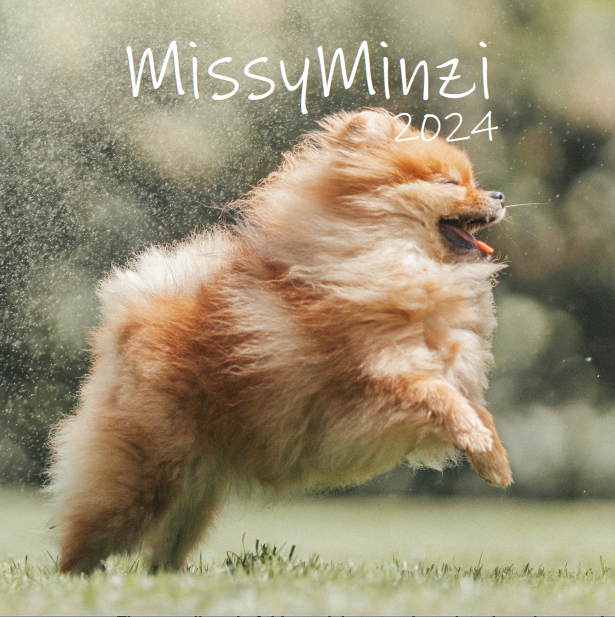 MissyMinzi Calendar 2024/2025