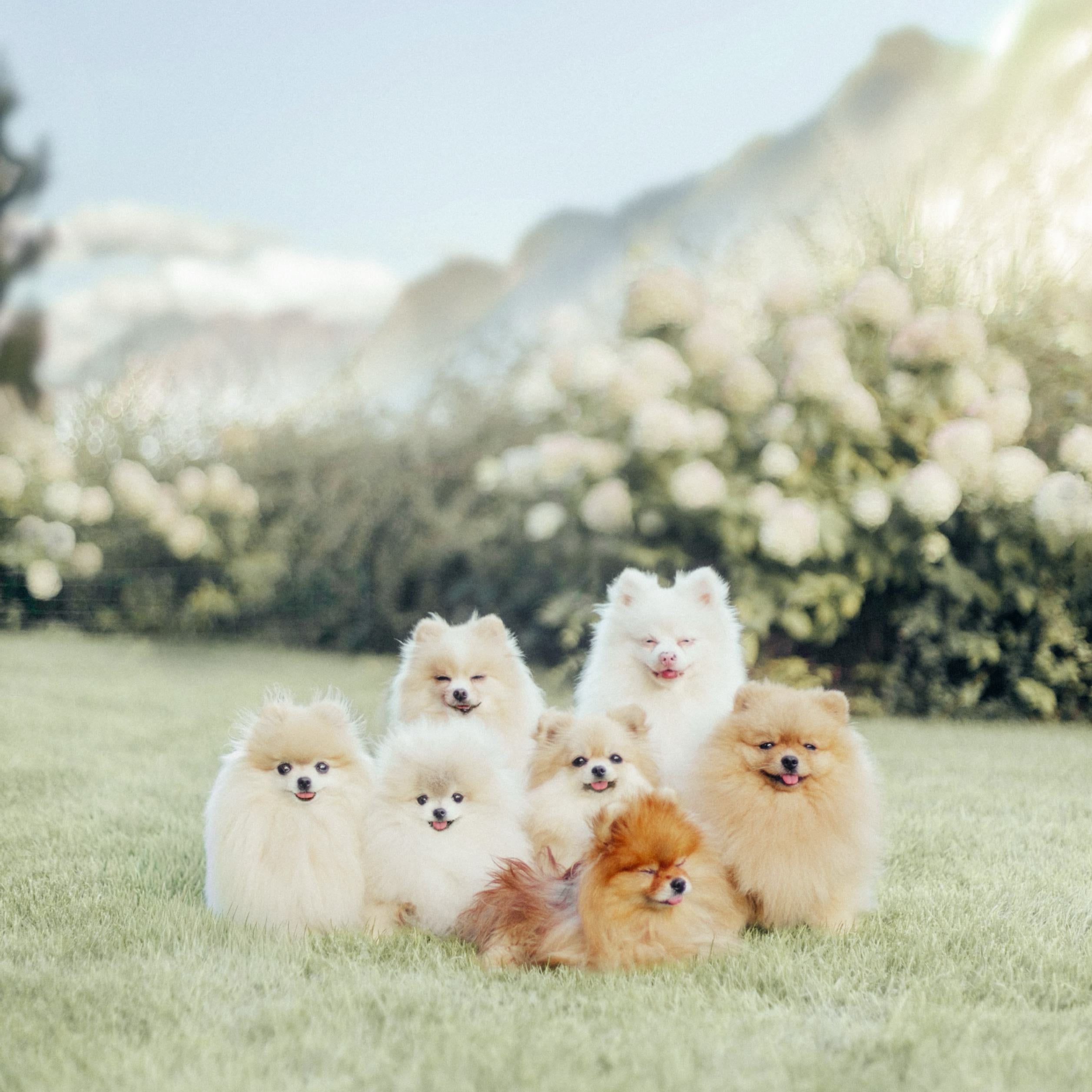 MissyMinzi Calendar 2026/2027