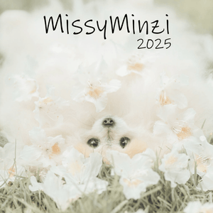 MissyMinzi Calendar 2025/2026